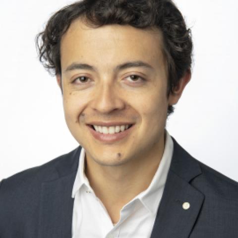 Diego Cifuentes 's profile picture