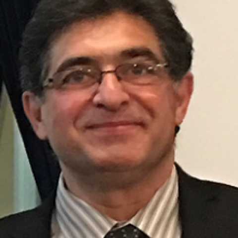 Hamid Garmestani's profile picture